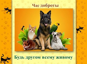 ��� ������� ����� ������ ����� ������